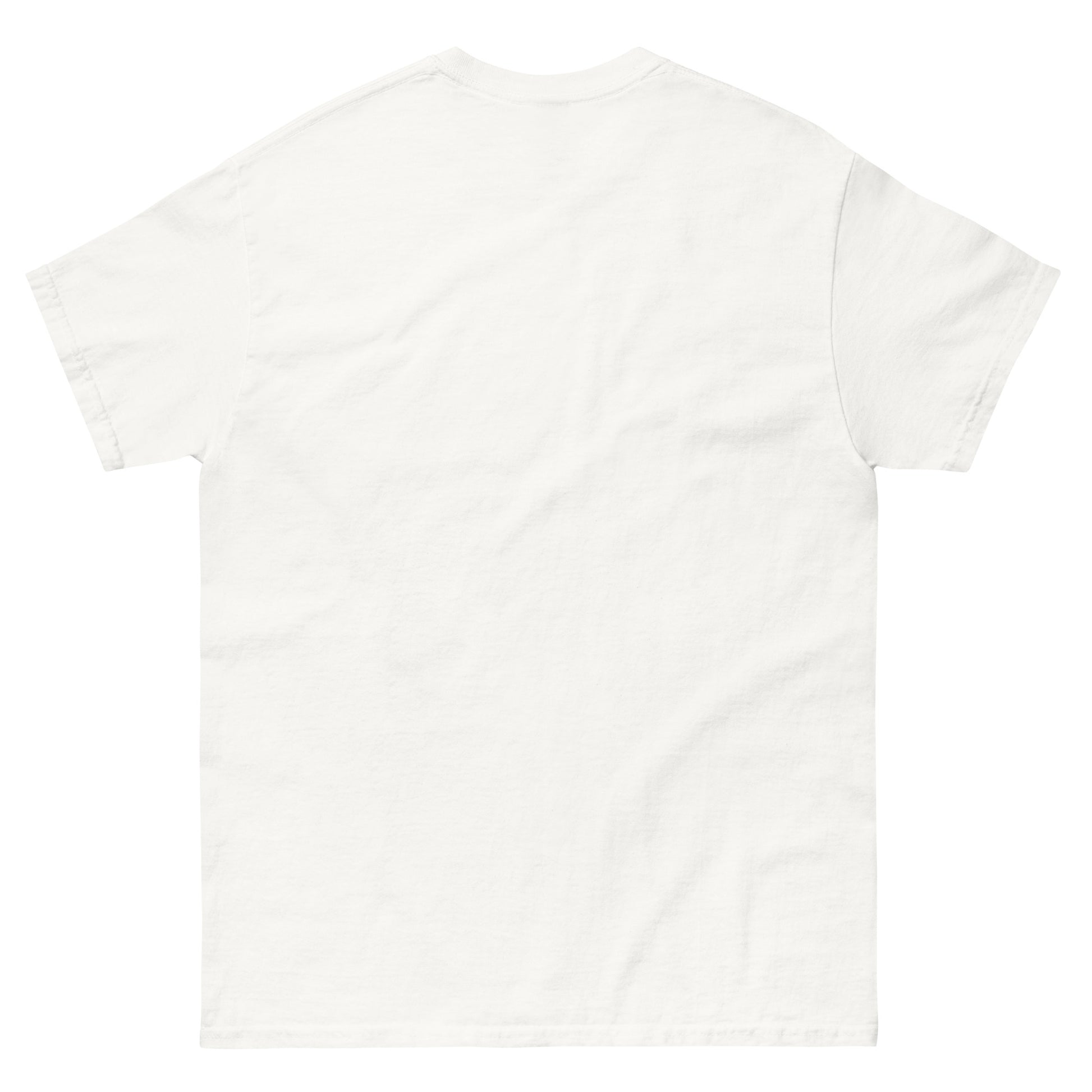Plain white t-shirt on a white background